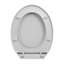 Rohando Soft-Close Elongated Standard Toilet Seat-904499339