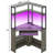 Meridel 29.5'' W Corner Computer Desk with Storage, Power Outlets and LED Lights-928378705