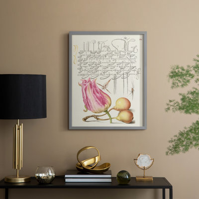Reproduction encadrée de Hoefnagel, «Tropical Specples III» - bois massif