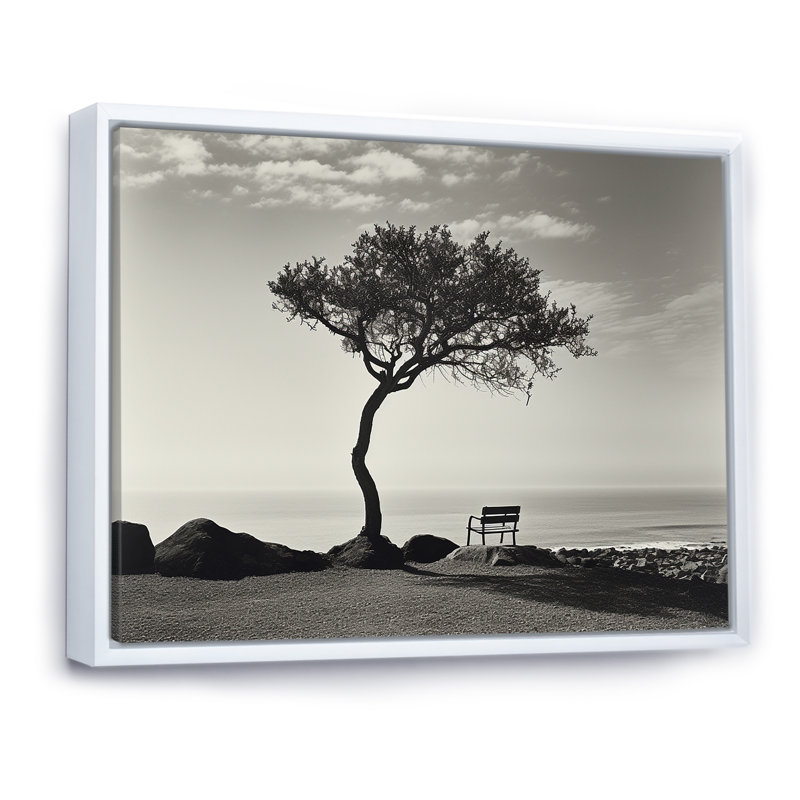 Arbre de solitude noir et blanc avec horizon côtier, Cadre flottant blanc, H 30 po x l 40 po x P 1,5 po