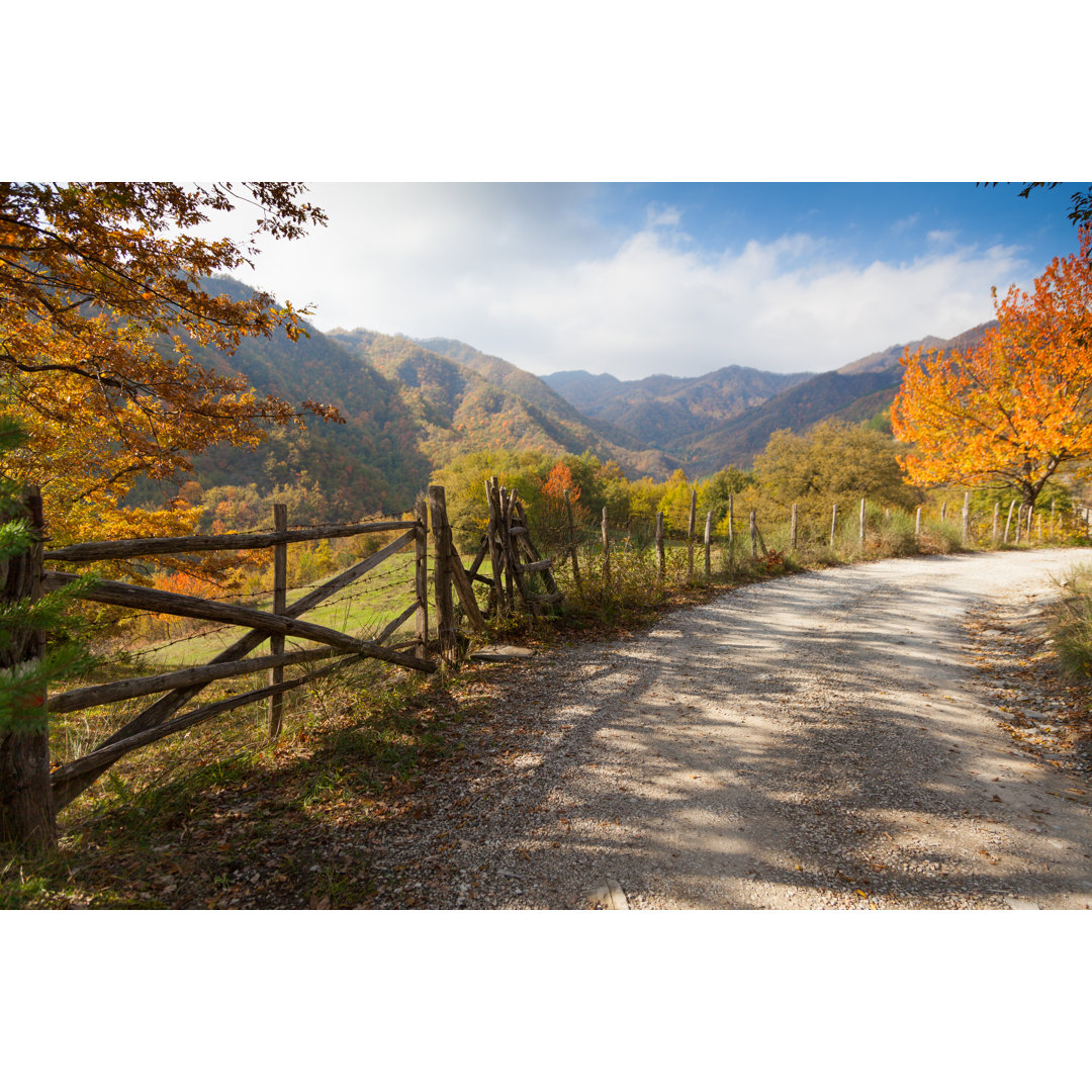 Foreste Casentinesi National Park - Leinwandbild