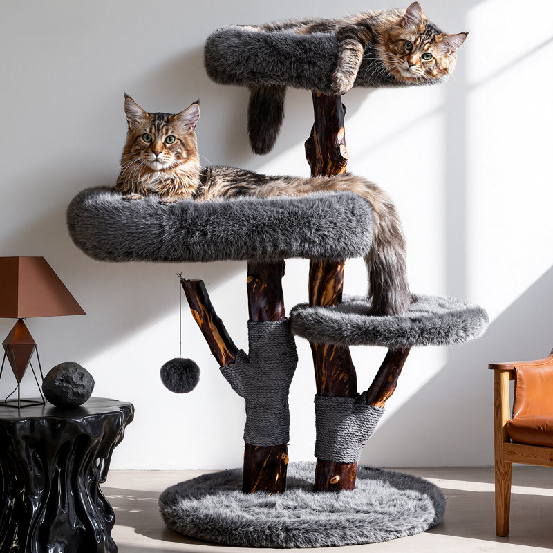 Arbre à chat unique en bois massif pour grands chats et MianeCoon, Gray