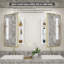 Armoire à pharmacie avec miroir réglable Anaahat-158214518-158214515