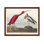 John James Audubon - Écarlate