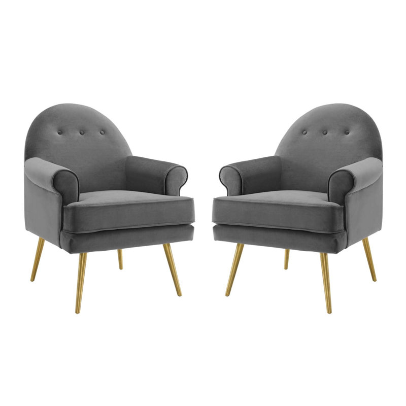 Ensemble de 2 fauteuils en velours Revive Performance, Gris