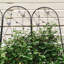 2 Pack Metal Garden Trellis 86.7" X 19.7" Rustproof Trellis For Climbing Plants Outdoor Flower Support Butterfly Deco Black