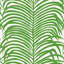 Zebra Palm Wallpaper-29547558