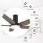 52 - Ventilateur de plafond