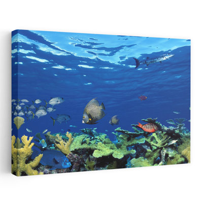 School Of Fish Swimming In The Sea Digital Composite Contemporary Fish Architecture Art