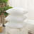 Set Of 2 Plush Pillow Inserts-121335029