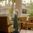 30'' Tall Artificial Boxwood Topiary in Pot