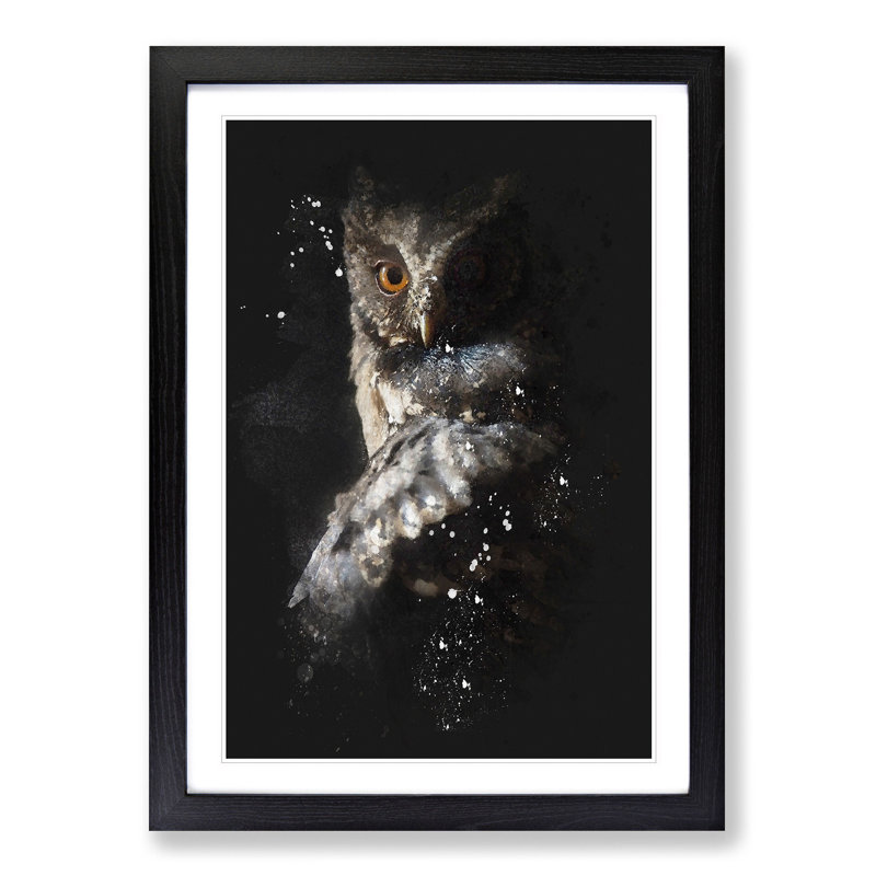 Owl - Picture Frame Graphic Art Print, 45cm H x 33cm W x 2cm D, Black Framed