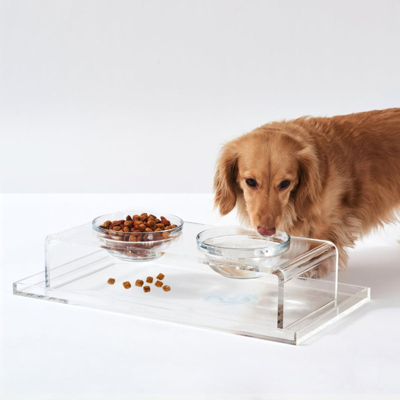 Clear Overflow Feeding Tray, Medium, Clear