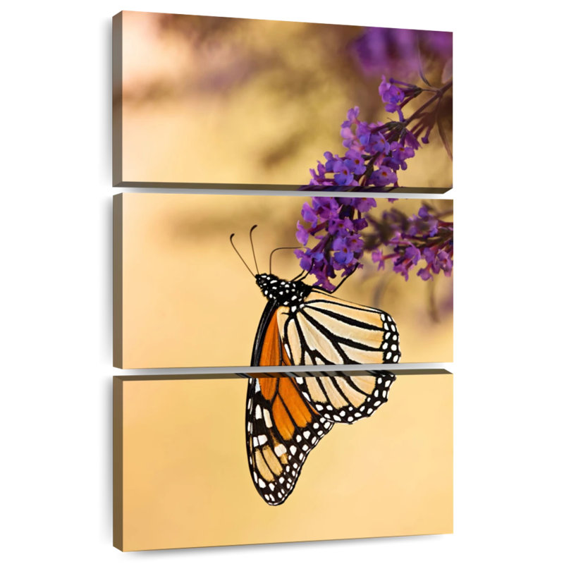 Papillon Brampt embrassant la lavande, H 32 po x l 20 po