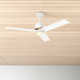 Saxony 68'' 3 Blade Ceiling Fan