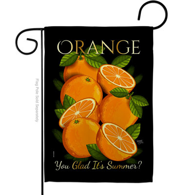 Double Sided 18.5'' H x 13'' W Polyester Garden Flag
