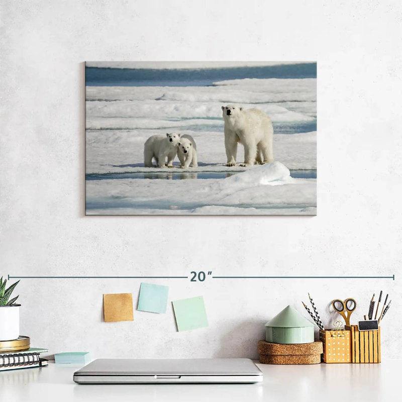 Brampt Longyearbyen Polar Bears, 8" H x 12" W