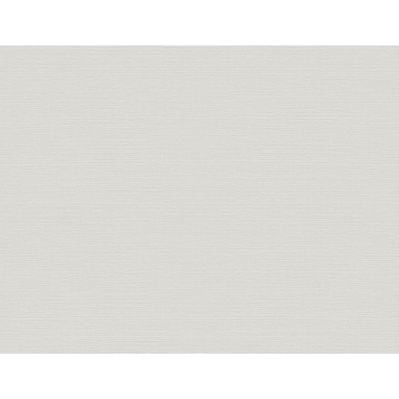 Rouleau de papier peint lisse L 27 pi x l 27 po, Gris clair