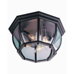 Bent Glass 4 - Bulb Outdoor Flush Mount
