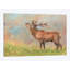« red cerf », impression sur toile-33109727-72410298-72410288