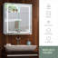 Seidel Surface Mirrored Bathroom Cabinets with Mirror and 2 Adjustable Shelves