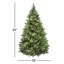 Carolina Flocked/Frosted Christmas Tree-1638101848
