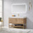 Alistair 48'' Single Bathroom Vanity with Engineered Stone Top-100780963-100780964-100780965