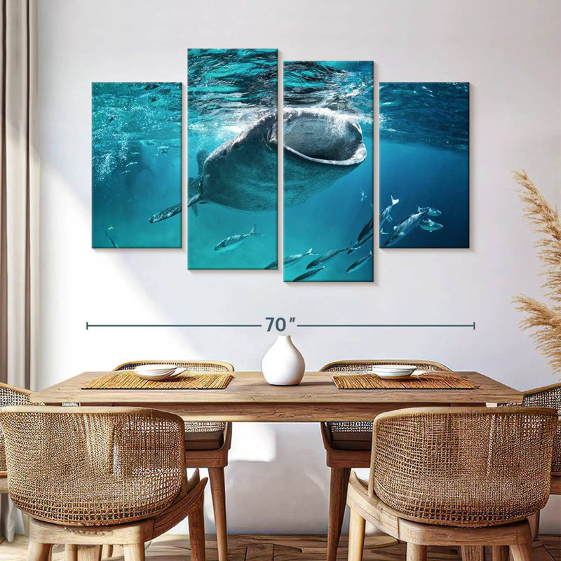 Requin-baleine Brampt