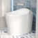 Smart Toilet with Advance Bidet, Foot Kick/Off-seat/Blackout/Remote Flush, Soft-closing Heat Seat, Warm Wash/Dryer, Bidet Elongated Toilet with Tankless, Remote Control