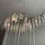 Photos des clients 2 de 2