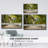 " Tropical Walkway "-94360578-94360584