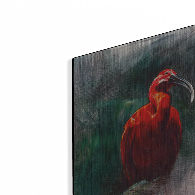 «Scarlet ibis» par Robert Campbell, H 16 po x l 12 po