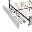 Modern Velvet Upholstered Storage Bed with Drawers, LED Headboard, USB Charging Port & Open Shelf Headboard-951861241