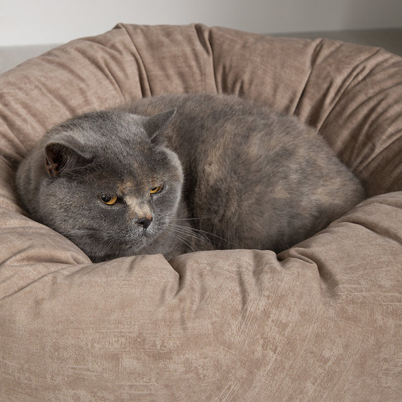 Polyester Pet Bed, Medium (12-18kg), Light Brown