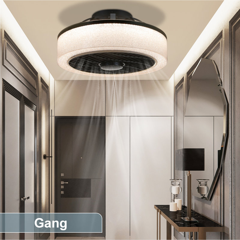 Cassiah Ceiling Fan With Led Lights