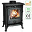 Cast Iron Free Standing Stove