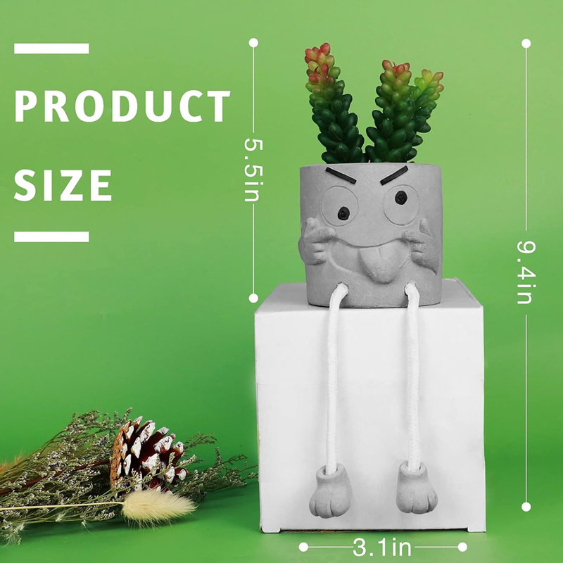 Plantes succulentes artificielles dans des pots en ciment