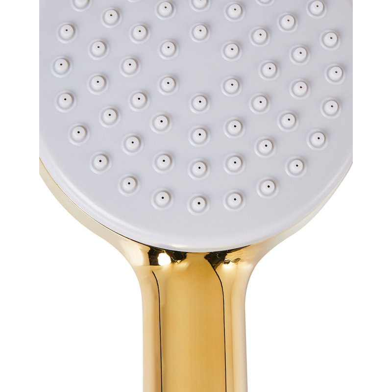 Shower Head and Hose Kit AYPATE, Gold