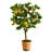  24in. Lemon Artificial Tree