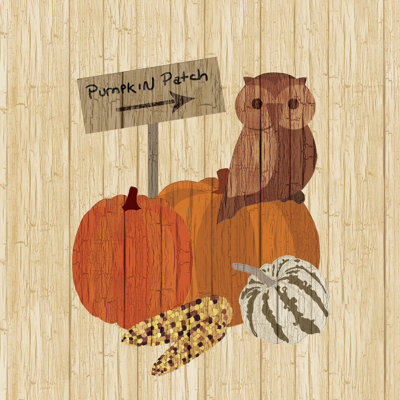 Pumpkin Patch Owl - Wrapped Canvas Print