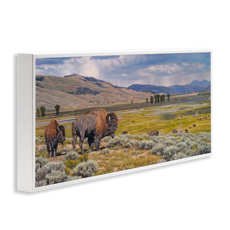 Bison du sud-ouest itinérant, estampe numérique par David Graham, Giclée encadrée blanc bord de mer, H 13 po x l 30 po