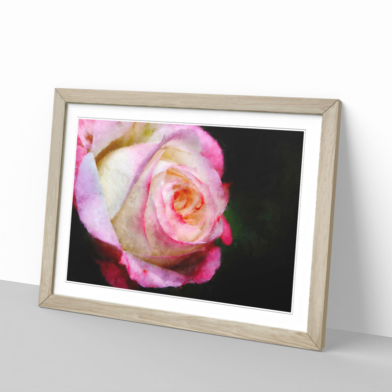 Pink Tipped Rose - Picture Frame Graphic Art Print, 45cm H x 63cm W x 2cm D, Oak