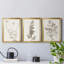 Neutral Botanical Study IV - Ensemble de 3 impressions sur toile encadrées-1770476222-1770476208