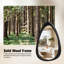 Miroir mural irrégulier à cadre en bois naturel, conception asymétrique unique-2000705398-2000705399