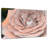 Harnek Soft Petal Rose