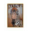 Zebra Colt - Painting on Canvas