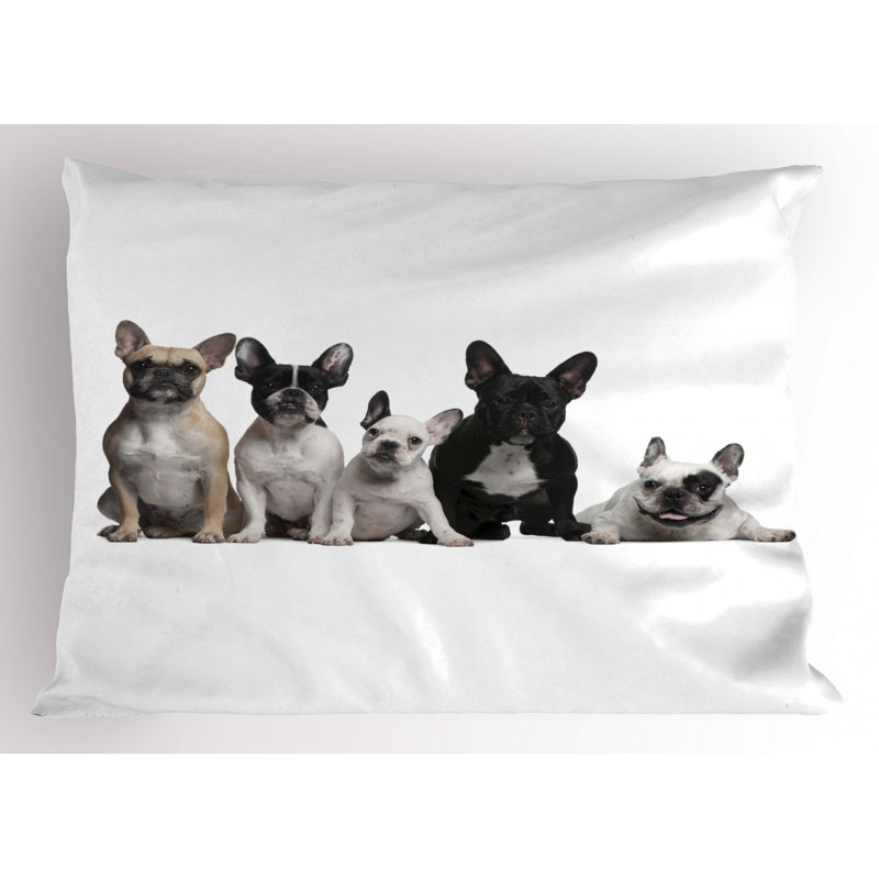 Pillow Sham, Twin