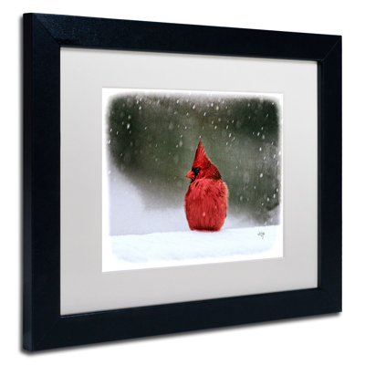 Lois Bryan - Single Picture Frame Photograph on Canvas
