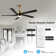 Krishona 54'' Ceiling Fan with LED Lights