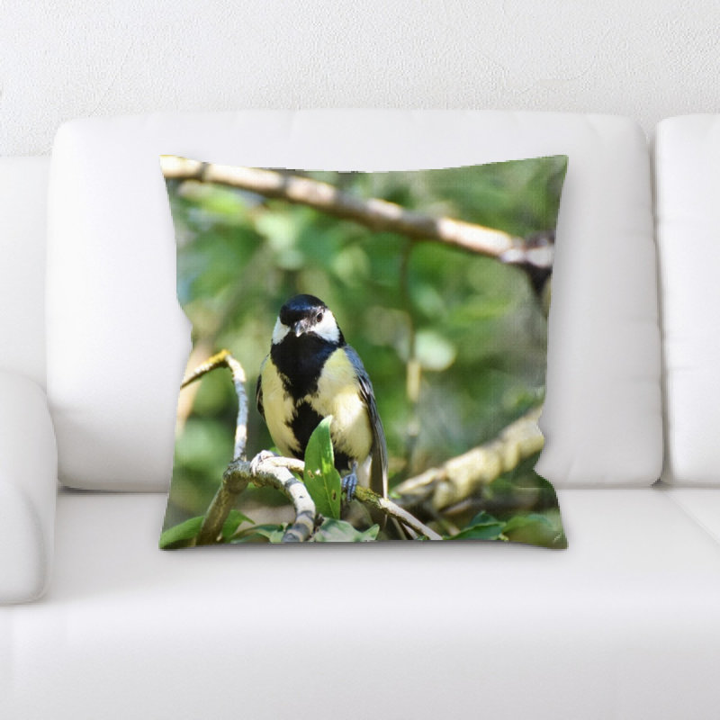 Coussin tit